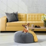 What Is The Best Sofa Material For Pets